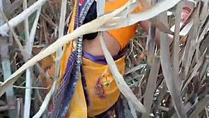 Indian desi village babe bent over for outdoor doggystyle action