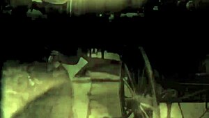 Dark Lantern: Seereise aus meinem geheimen Leben – erotische Geständnisse