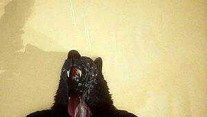 pov two gay wolves interacting in wildlife setting