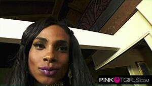 Super Sexy Shemale Kiara Slams Hard With Monster Cock in Missionary