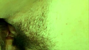 Part 1: I Gave My Dog a Refreshing Hose Bath on a Hot Day