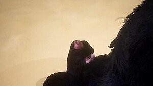 pov two gay wolves interacting in wildlife setting