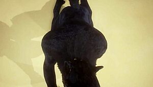 pov two gay wolves interacting in wildlife setting