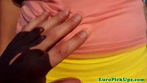 Picked Up Brunette Flashes Pussy And Ass Outdoors