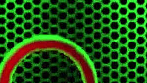 Blondes Sarah Vandella's clit and pussy worship