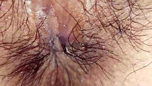 can cỗ giáo dạy văn có mau spark your curiosity?