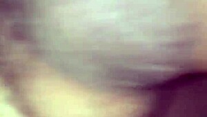 Willy Jesse And Matthew Sharing Bareback Fun