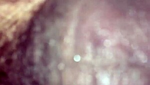 Willy Jesse And Matthew Sharing Bareback Fun