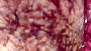 can cỗ giáo dạy văn có mau spark your curiosity?