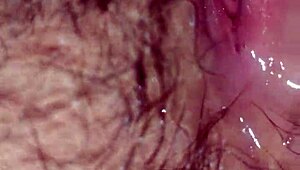 can cỗ giáo dạy văn có mau spark your curiosity?