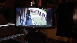 Innocent Intruder Punished Extremely