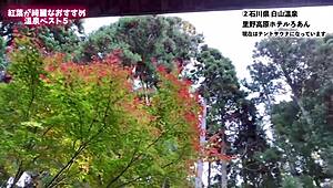 Please Enjoy the Nanachi Together in Unique Roleplay