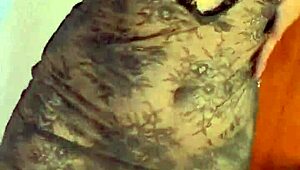 How many real female orgasms can you handle in this collection?