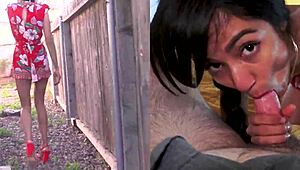 Girlfriend Deepthroats Investor With Shaved Pussy