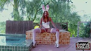 i, teanna trump, get my pussy licked and fucked by a hung black stud in florida