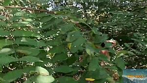 that wondrous forest adventure with mala dvojka awaits