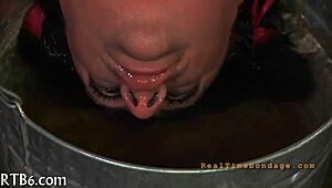 i'm telling you, this pornstar sadomasochism is intense