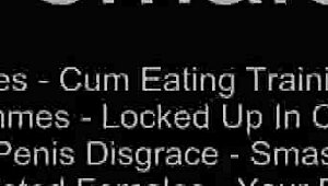 everyone's gonna see how pathetic you are in this humiliation bondage 😈