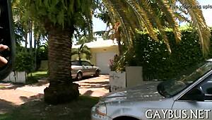 Homo oral-sex porn featuring intense gay encounters