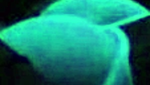 britney madison enjoys hardcore sex under blacklight with fetish elements