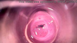 look at that camera deep in mia's creamy pussy