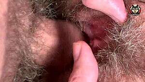 Hairy pussy gets pounded in ultra-closeup action during intimate session.