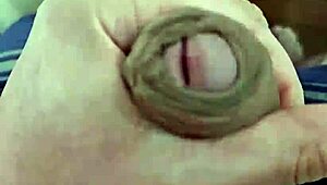 showing off my hard penis to curious neighbors