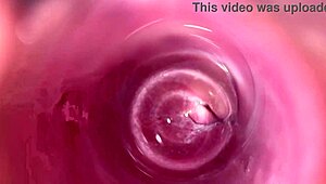 look at that camera deep in mia's creamy pussy