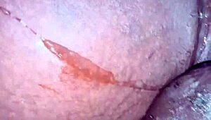 Ebony Babe Keeps Sucking Big Black Cock After Cumshot Explosion