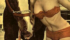 dark lantern entertainment shares erotic confessions from a victorian gentleman's secret life