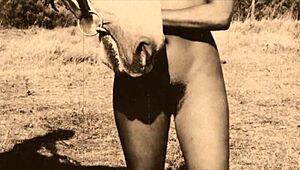 dark lantern entertainment shares erotic confessions from a victorian gentleman's secret life