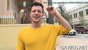 i explore dilettante homo sex