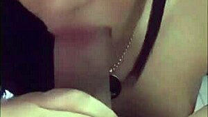 Hey, check this compilation of hard-working shemale and tgirl prostitutes!