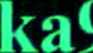 Hatsune Miku says, Rabbit hole sex is intense