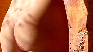 beautiful brunette model reveals her body in lingerie