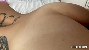 Teen 18+ Spanish Rebeca Brown In Pig Cosplay Rides Dirty With Torbe