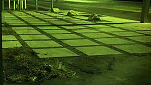 EXTREME B COMPILATION XXX UNLESS YOURE FROM THE SIXTIES AND