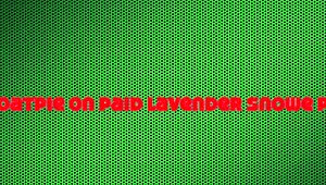 She Almost Couldn't Take My Giant Dick To The Base