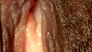 Female Textures in Brownies: Black Ebony HD 1080p Vagina Close-Up with Hairy Pussy Sex by Rumesco