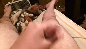 i'm playin with my shaved cock, it's so hairless and fun