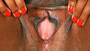 Female Textures in Brownies: Black Ebony HD 1080p Vagina Close-Up with Hairy Pussy Sex by Rumesco