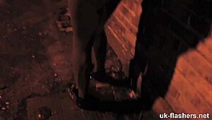 meowing for attention in outdoor public setting