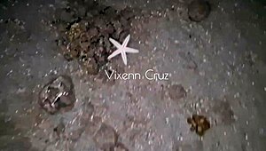 Hey, got nailed hard by a stranger near the beach with dirty talk!