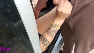 blowjob to guest after party in front of husband during outdoor dogging