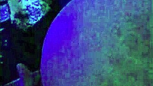 Baszd meg, nézd ezt a pajkos latin vörös hajú amatőr kutyapózos válogatását!