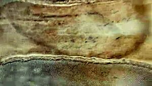 dirty panties from the neighbor