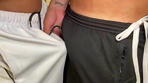 interracial brazilian and chileno blowjob leads to anal fucking