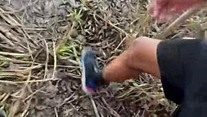 I took a walk behind the school, met a horny young guy, fucked his tight ass, and filled his mouth with cum.