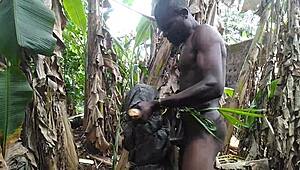 Sex Harder Movies with Curvy Anime Doll in Action