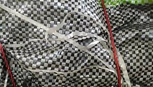 Sex Harder Movies with Curvy Anime Doll in Action